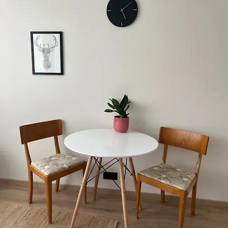 Compact Holiday Apartment Near The Heart Of Viljandi Appartement Viljandi (Viljandimaa)